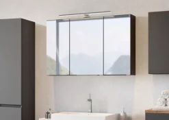 Bad-Spiegelschrank BREGENZ grau