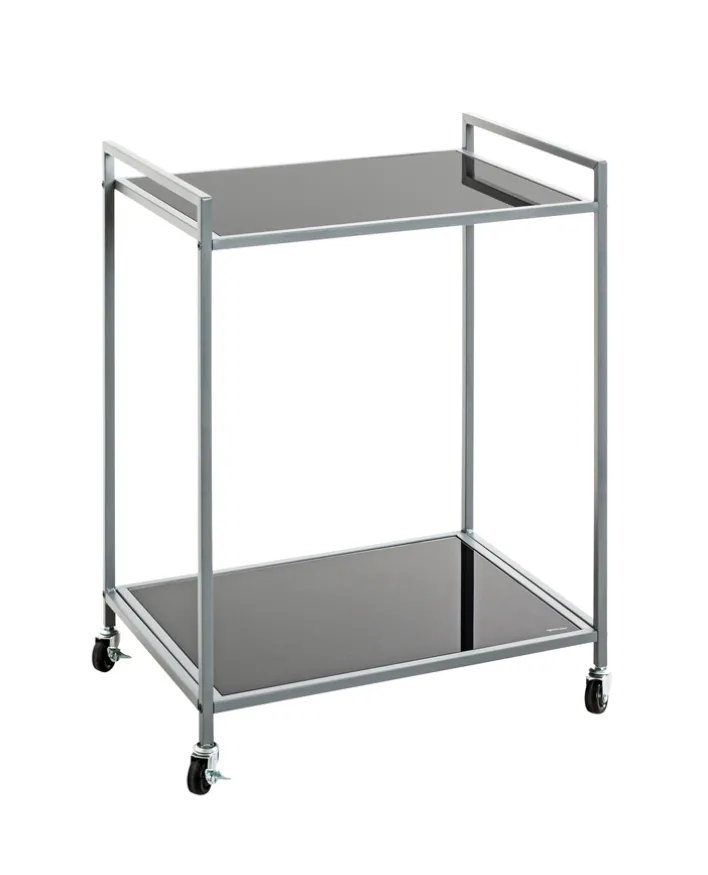 Beistelltisch auf Rollen 50 x 36 cm Glas schwarz lackiert/grau