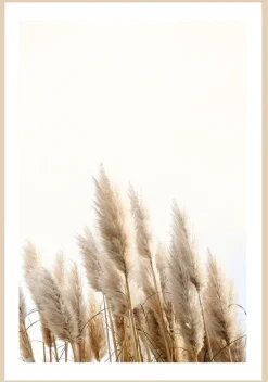 BÖNNINGHOFF Bild mit Rahmen PAMPASGRAS I 50 x 70 cm
