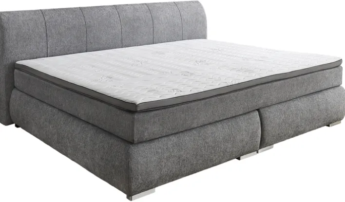 Boxspringbett CODY 240 x 200 cm grau