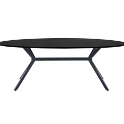 BRUNO Esstisch 220 x 75 cm oval schwarz