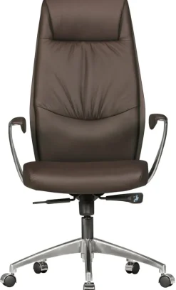 Chefsessel 67 x 125 cm braun