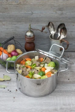 ELO Kochtopf mit Glasdeckel CITRIN 20 cm Edelstahl silber