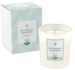 ENGELS KERZEN Duftkerze SENTIMENTALS M Cedarwood