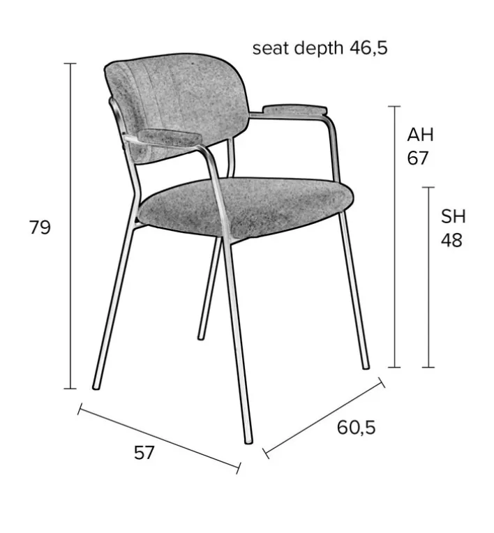 Esszimmerstuhl ARMJOLIEN 2er Set hellgrün
