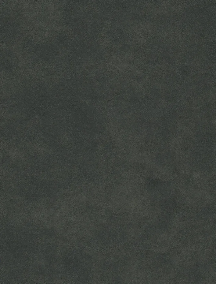 Esszimmerstuhl RANI 4er Set Vintage anthrazit