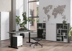 Facheinsätze PASADENA 3-teilig Graphit/ Weiß