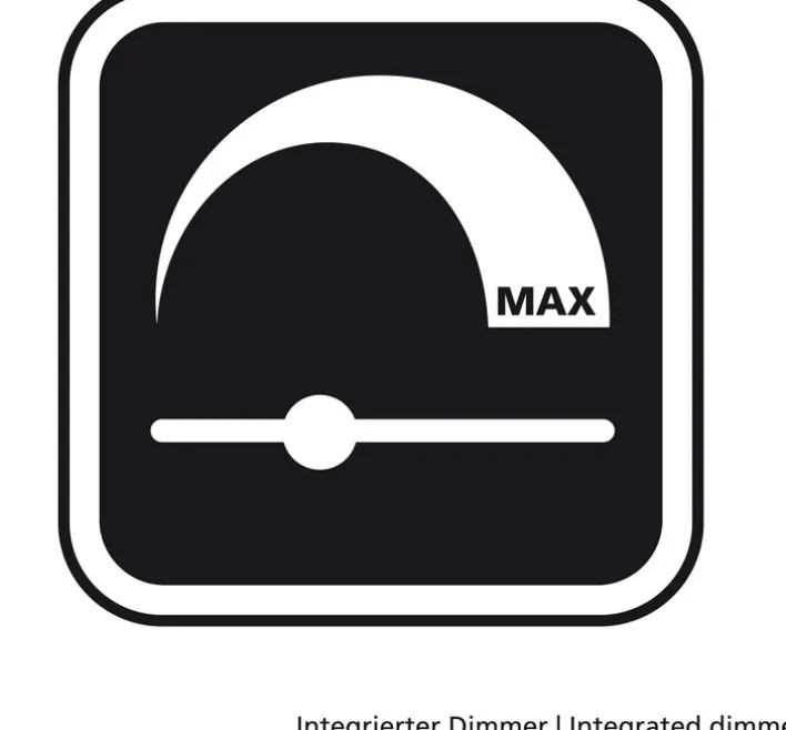 FISCHER & HONSEL LED Wandlampe RAIK III schwarz