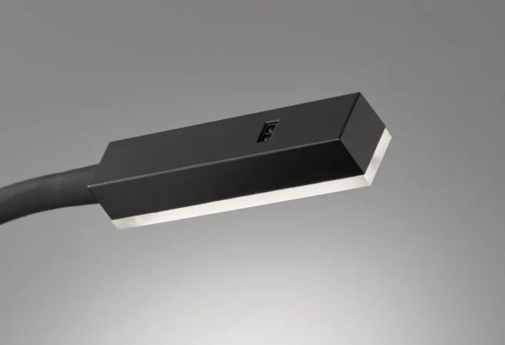 FISCHER & HONSEL LED Wandlampe RAIK III schwarz