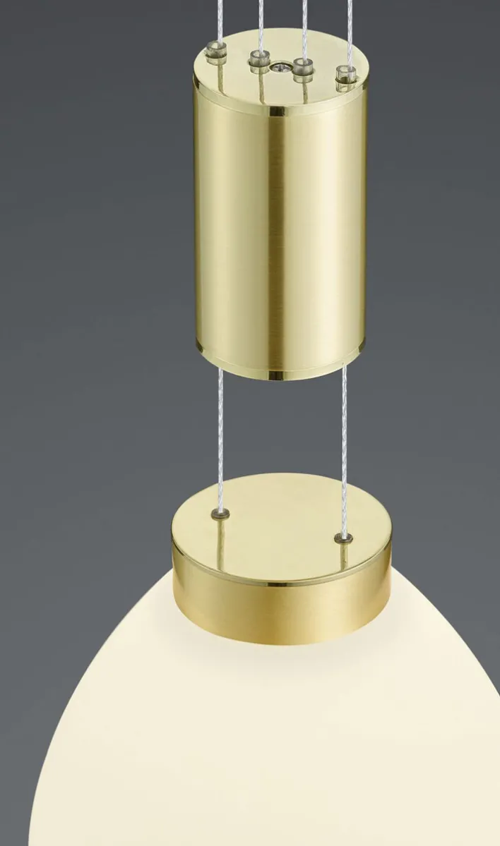 HELL LED Pendellampe SAM 43 cm messingfarbig