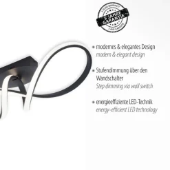 JUST LIGHT LED Deckenlampe MARIA 24,5 x 61 cm schwarz