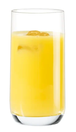 LEONARDO Longdrinkglas DAILY