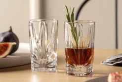 LEONARDO Schnapsglas CAPRI 4er Set transparent