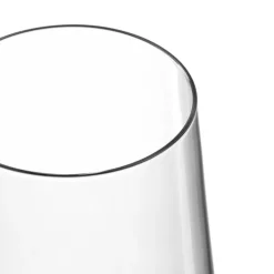 LEONARDO Sektglas PUCCINI 280 ml