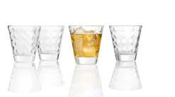 LEONARDO Whiskyglas OPTIC 6er Set transparent