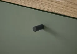 Lowboard ALVA 160 x 50 cm Salbeifarbig/braun