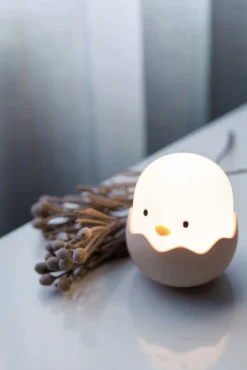 niermann LED Nachtlicht Küken Eggy Egg