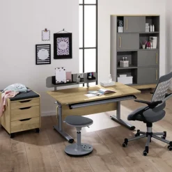 PAIDI Drehstuhl TIO SITNESS grau/ silbergrau