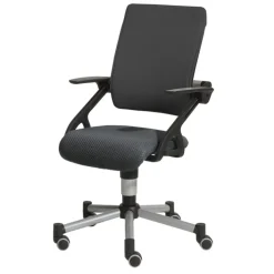 PAIDI Drehstuhl TIO SITNESS grau/ silbergrau