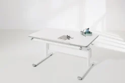 PAIDI Schreibtisch Kreideweiß