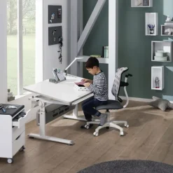 PAIDI Schreibtisch Kreideweiß