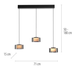 Paul Neuhaus LED Balkenpendel RIKA 3-flg cm schwarz