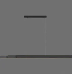 Paul Neuhaus LED Balkenpendel PURE-LUME anthrazit