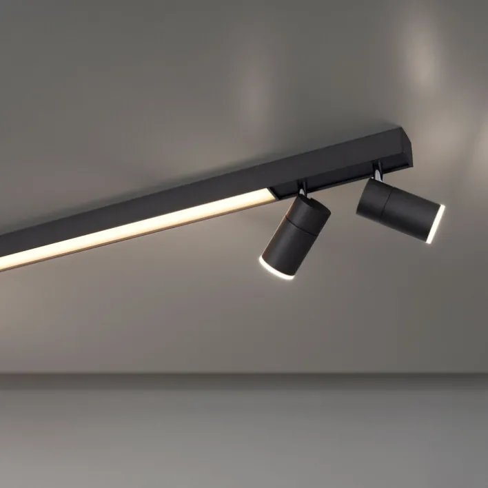 Paul Neuhaus LED Deckenlampe mit 4 Spots PURE-LINES anthrazit