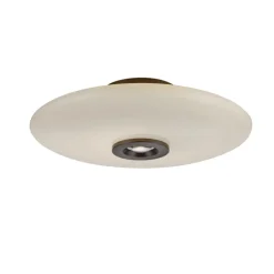 Paul Neuhaus LED Deckenlampe PURE VITRUM 45 cm braun