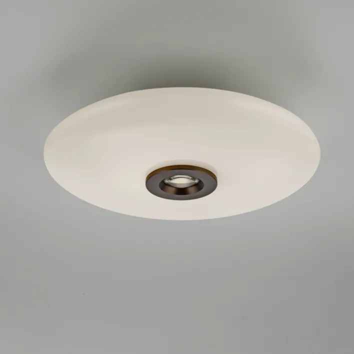 Paul Neuhaus LED Deckenlampe PURE VITRUM 45 cm braun