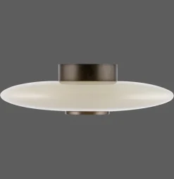 Paul Neuhaus LED Deckenlampe PURE VITRUM 45 cm braun