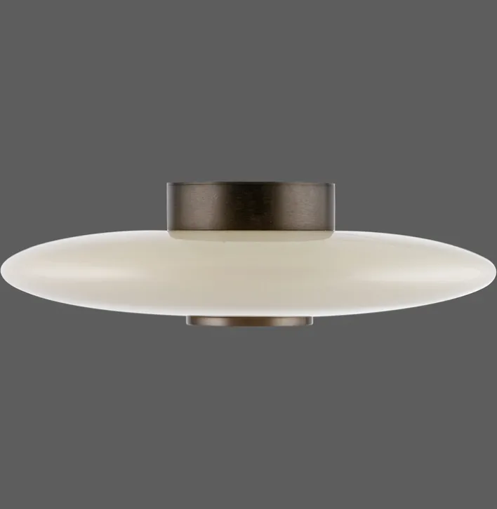 Paul Neuhaus LED Deckenlampe PURE VITRUM 45 cm braun