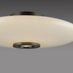 Paul Neuhaus LED Deckenlampe PURE VITRUM 45 cm braun