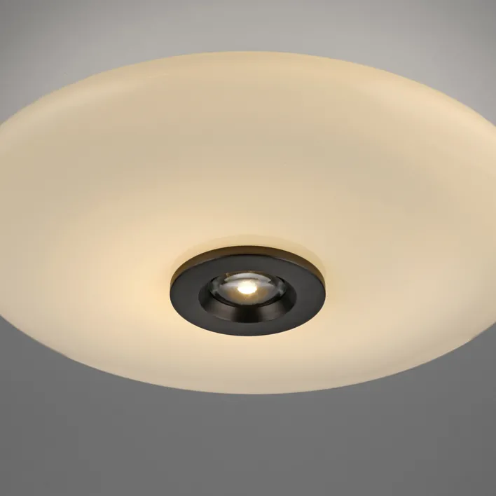 Paul Neuhaus LED Deckenlampe PURE VITRUM 45 cm braun