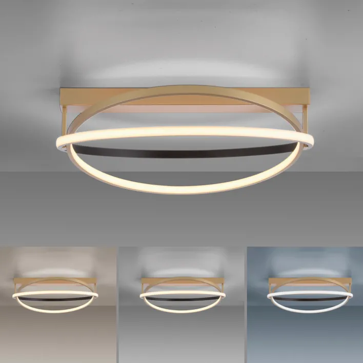 Paul Neuhaus LED Deckenlampe Q-BELUGA rund Messing/ Schwarz matt