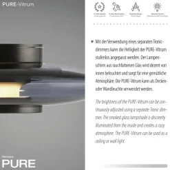 Paul Neuhaus LED Deckenlampe PURE VITRUM 22 cm grau