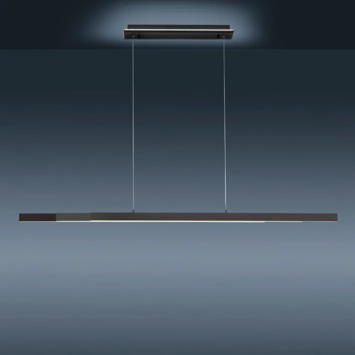 Paul Neuhaus LED Pendellampe Q-ARIAN 179 cm