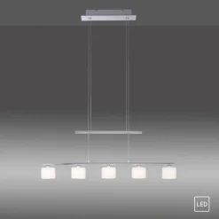 Paul Neuhaus LED Pendelleuchte HYDRA 5-flg stahlfarbig