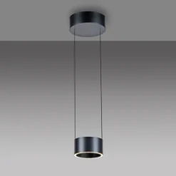 Paul Neuhaus LED Pendelleuchte PURE CLIPSE Aluminium Ø 20 cm Platin