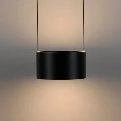 Paul Neuhaus LED Pendelleuchte PURE CLIPSE Aluminium Ø 20 cm Platin