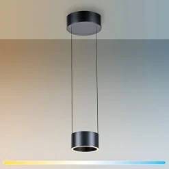 Paul Neuhaus LED Pendelleuchte PURE CLIPSE Aluminium Ø 20 cm Platin