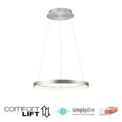 Paul Neuhaus LED Pendelleuchte HOOP 57 cm alu-/nickelfarbig