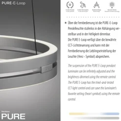 Paul Neuhaus LED Pendelleuchte PURE E-LOOP Aluminium Ø 50 cm Alu-/Nickelfarbig