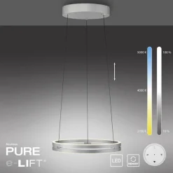 Paul Neuhaus LED Pendelleuchte PURE E-LOOP Aluminium Ø 50 cm Alu-/Nickelfarbig