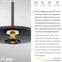 Paul Neuhaus LED Pendelleuchte PURE E-VITRUM 45 cm grau