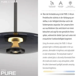 Paul Neuhaus LED Pendelleuchte PURE E-VITRUM 45 cm grau