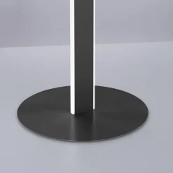 Paul Neuhaus LED Stehlampe Q-VITO anthrazit