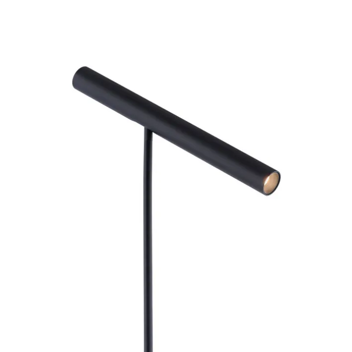 Paul Neuhaus LED Stehlampe PURE-TUTUA schwarz