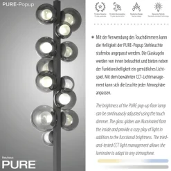 Paul Neuhaus LED Stehlampe PURE POPUP 12-flg grau