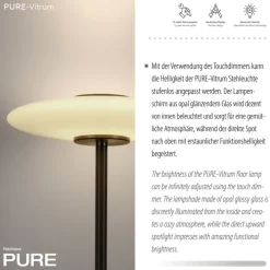 Paul Neuhaus LED Stehlampe PURE VITRUM 32 cm braun